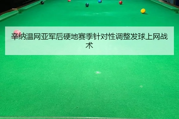 xin-na-wen-wang-ya-jun-hou-ying-di-sai-ji-zhen-dui-xing-tiao-zheng-fa-qiu-shang-wang-zhan-shu-2-412.jpg